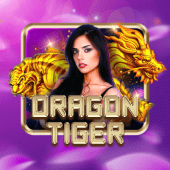 Dragon Tiger on BigWin Bet app